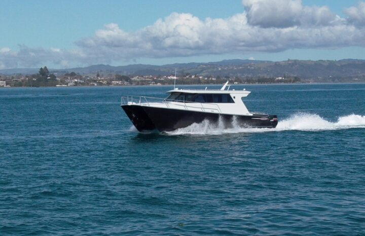 Kingfisher 1100 Powercat