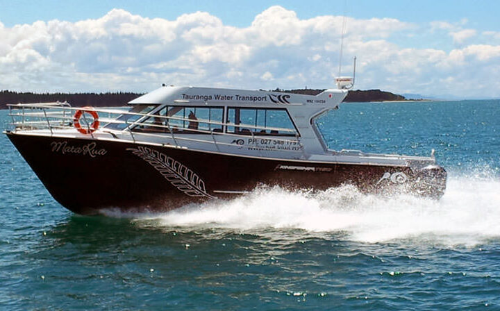 Kingfisher 1150 Powercat