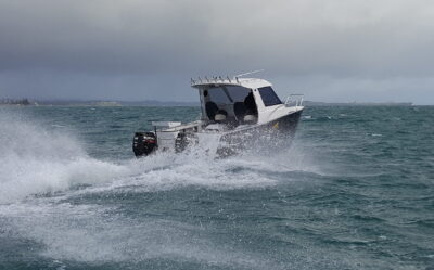 Kingfisher 620 HT Powercat