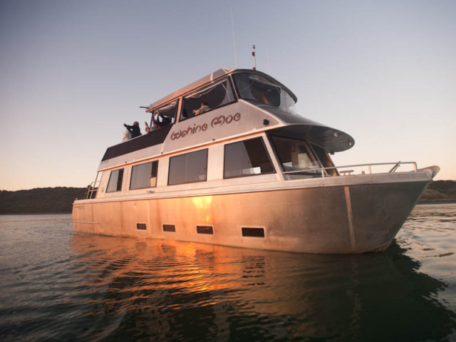 Raglan Boat Charters