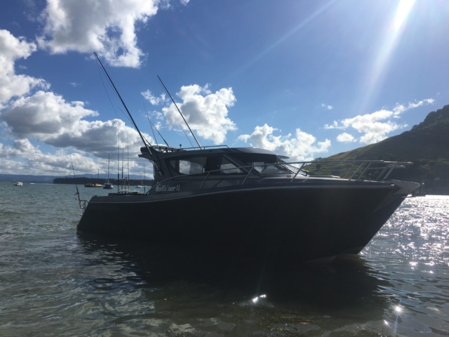 Kingfisher 1000 Powercat