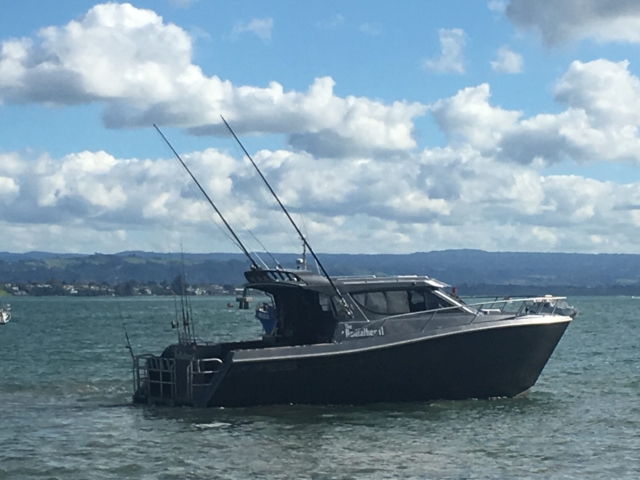 Kingfisher 1000 Powercat