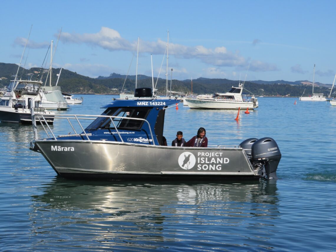 Commercial catamaran work boat