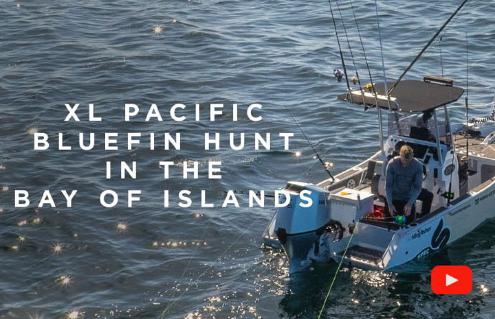 XL Pacific Bluefin Hunt Kingfisher 510 Powercat