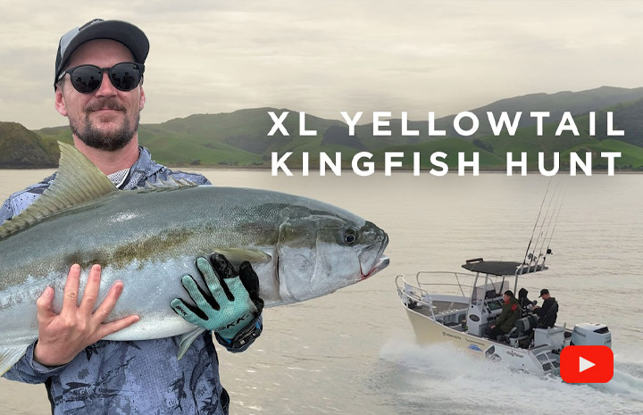 XL Yellowtail Kingfish Hunt Kingfisher 510 Powercat