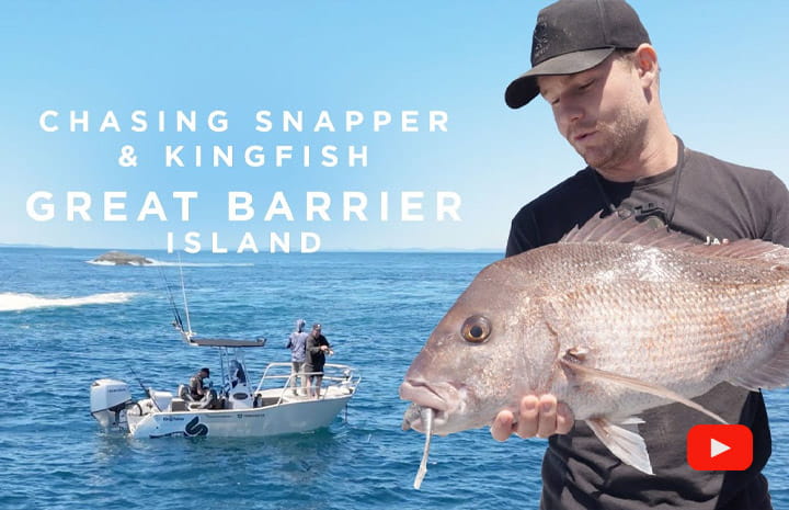 Great Barrier Island Snapper Mission Aboard the Kingfisher 510 Powercat