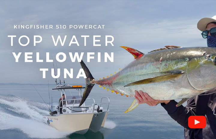 Offshore Top Water Yellowfin Tuna in the Kingfisher 510 Powercat